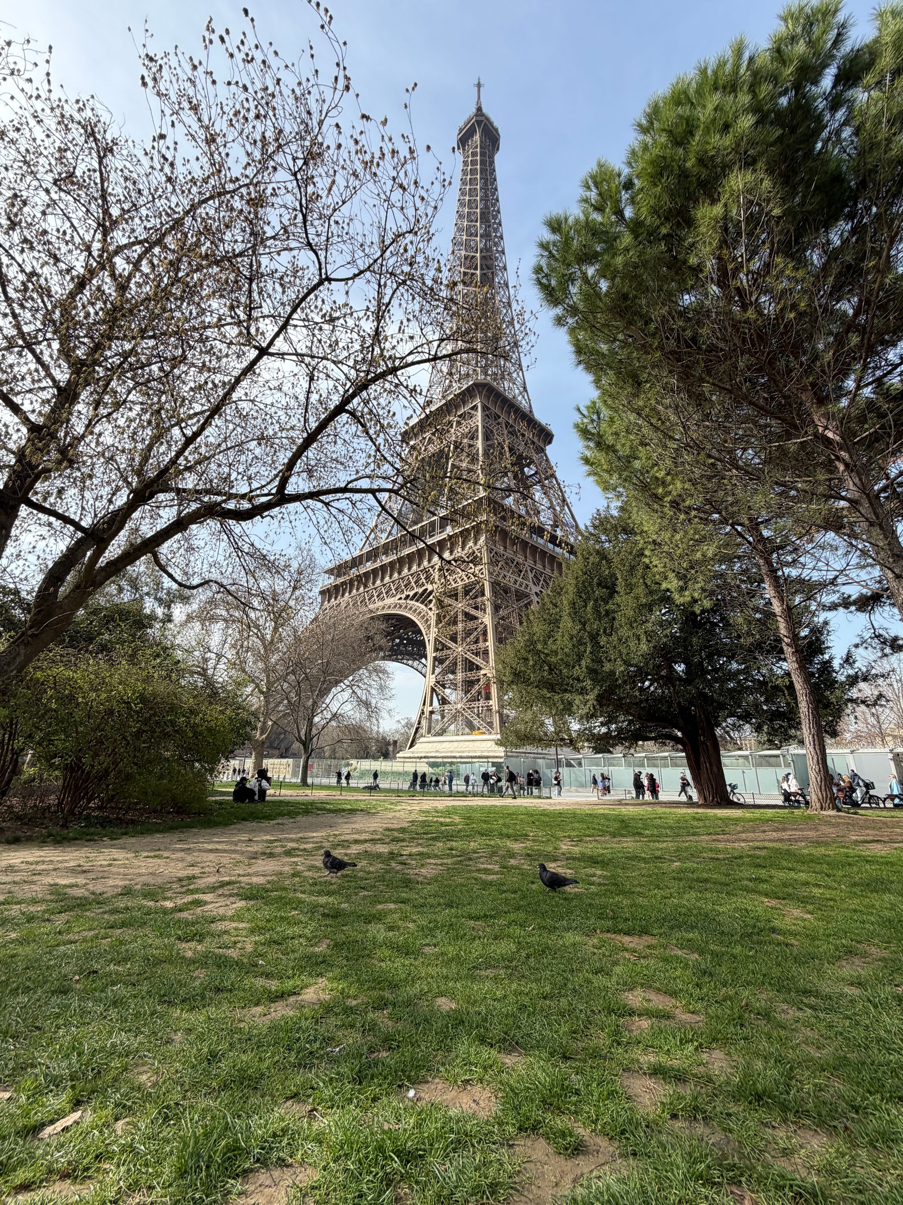 1775450684837-ic961r.JPG