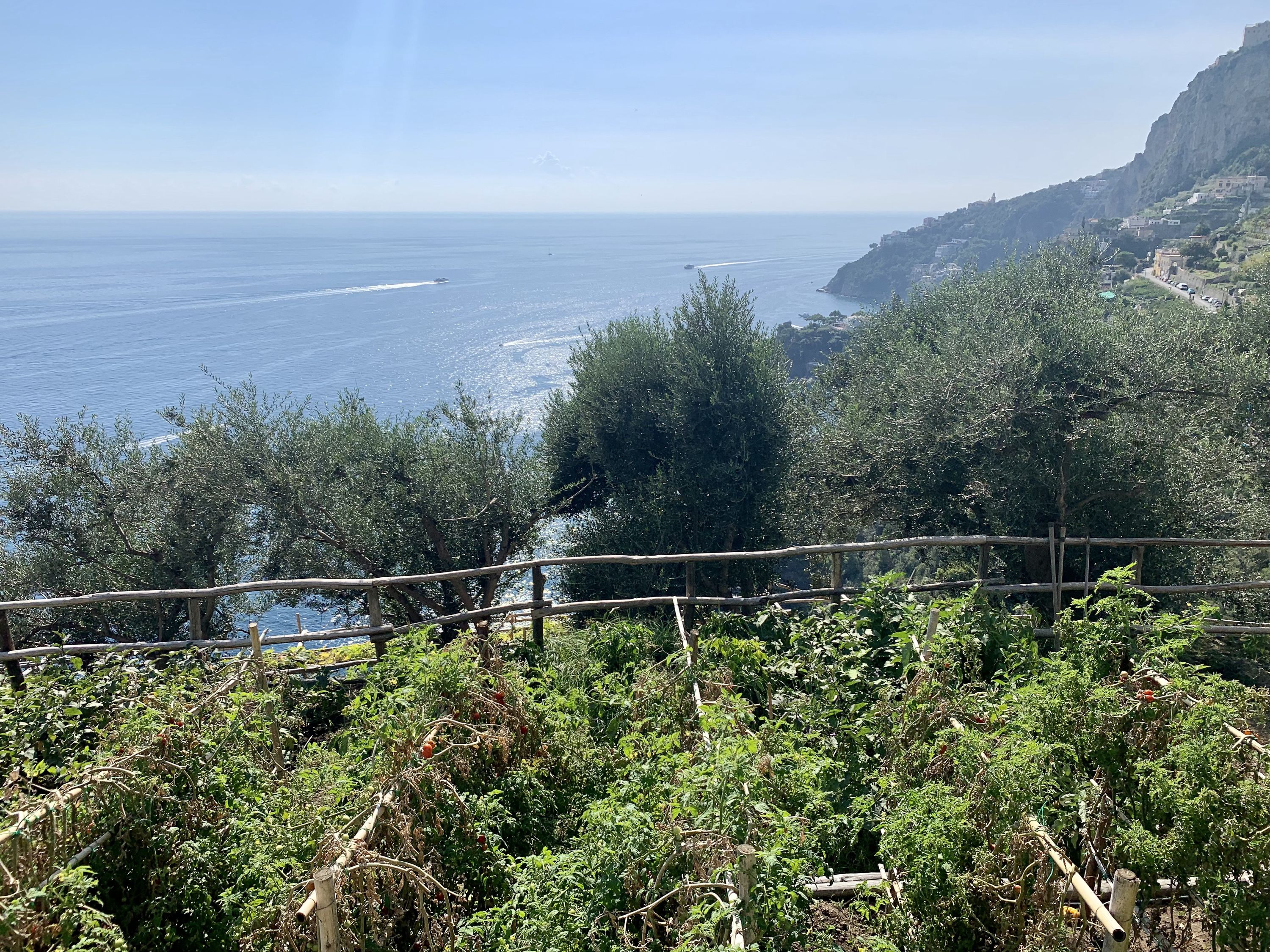 IMG_0280.jpeg