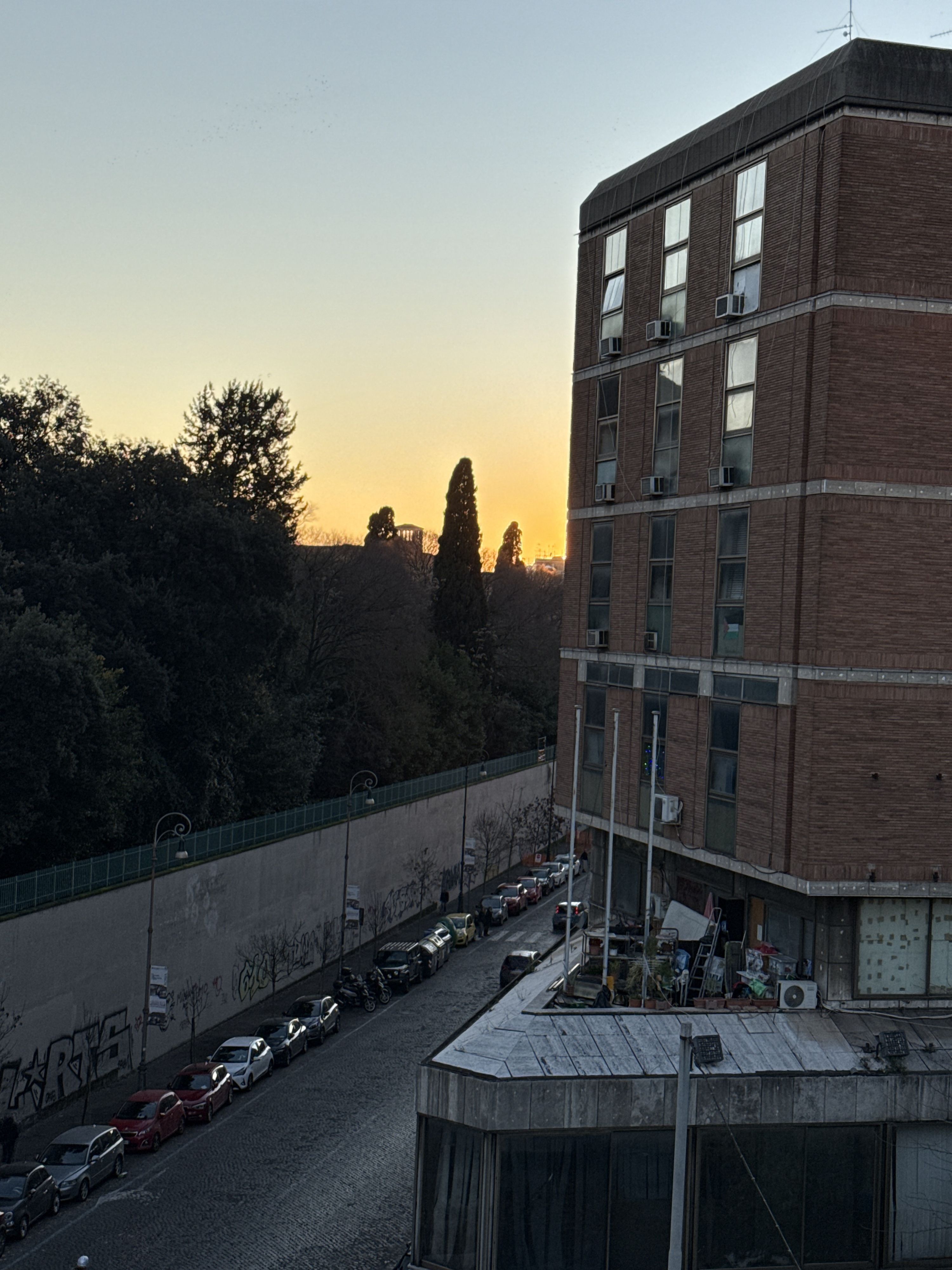 1766850506601-ifk6b.jpg