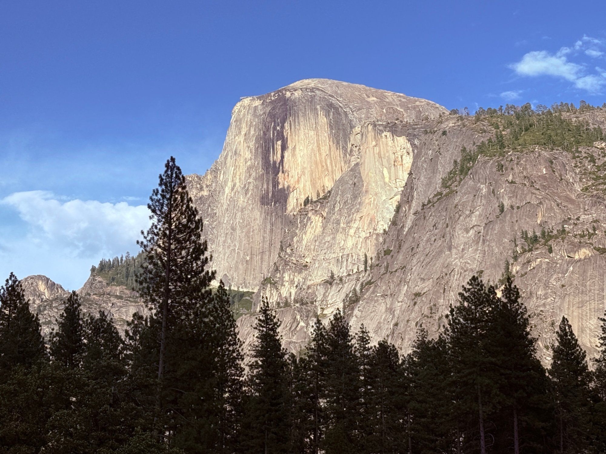 1787541639663-8-img5330.jpg