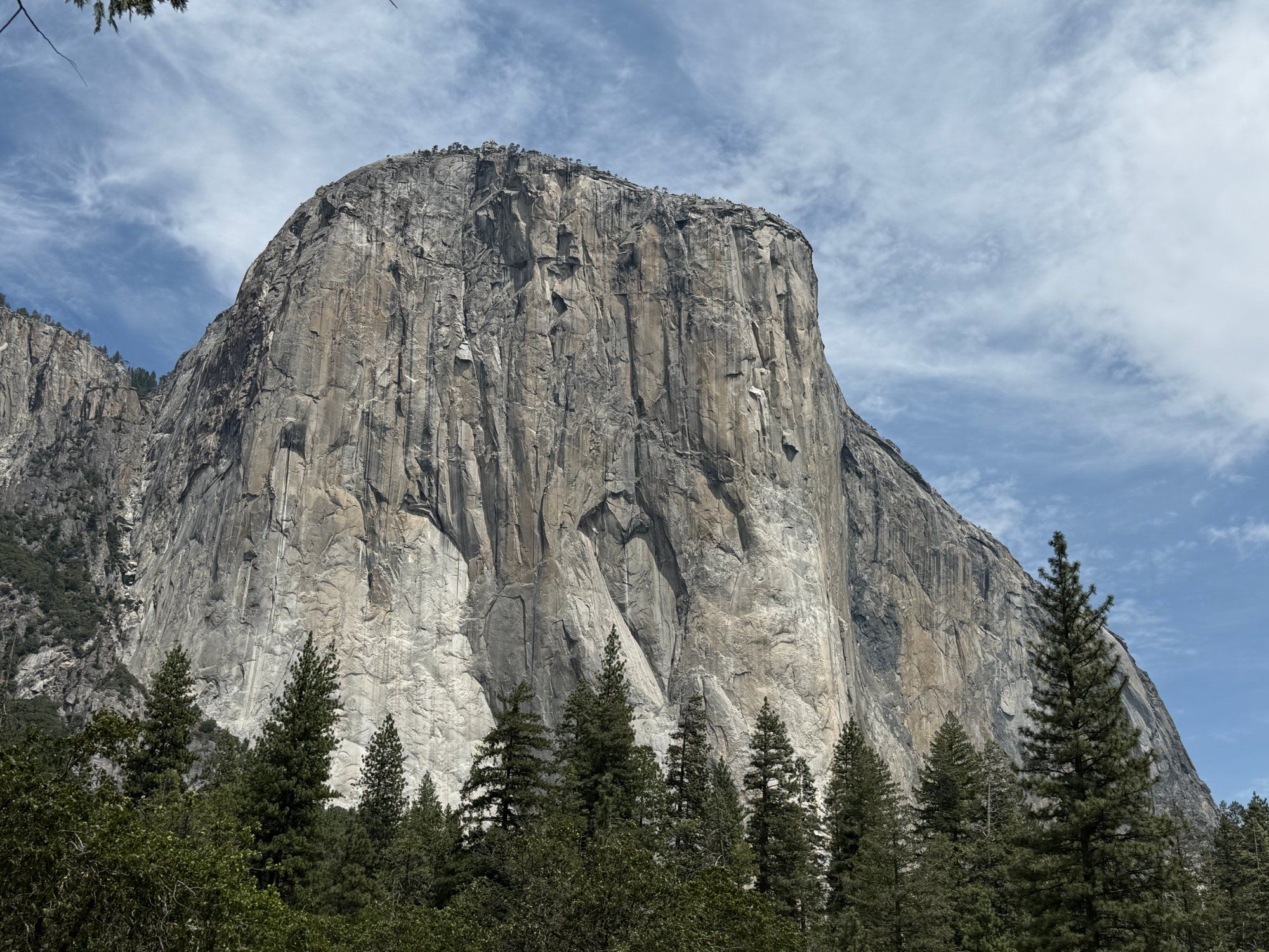 1787541639688-4-img5459.jpg