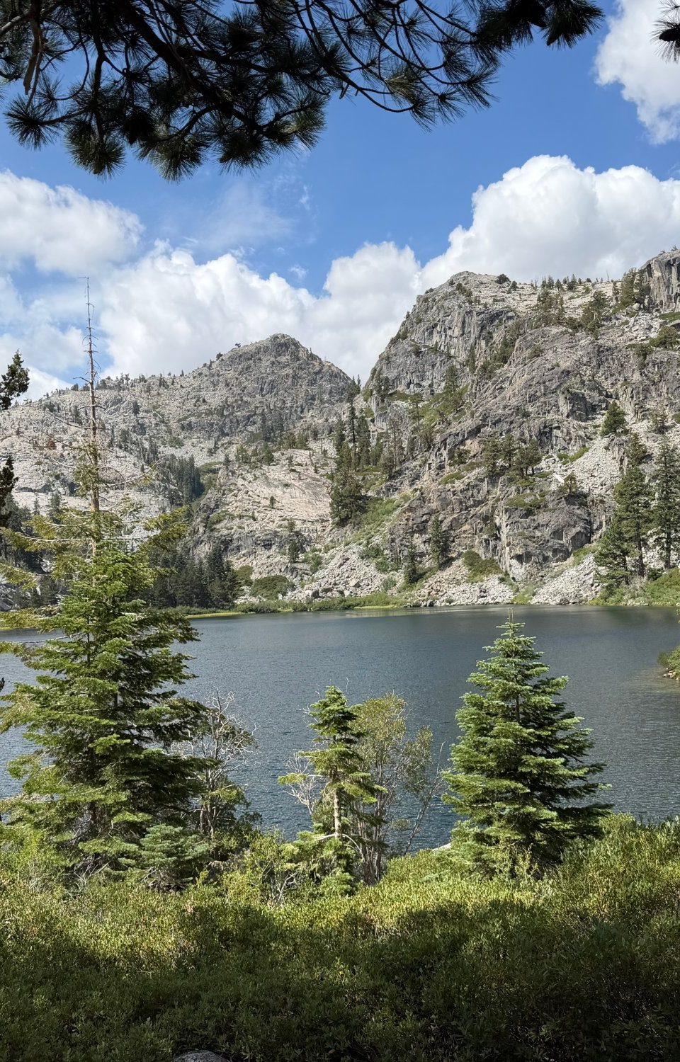 Under Canvas in Yosemite and Bears in Lake Tahoe
